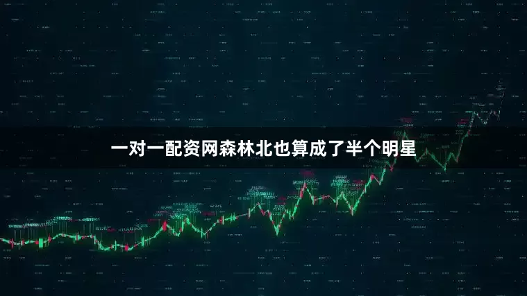 一对一配资网森林北也算成了半个明星