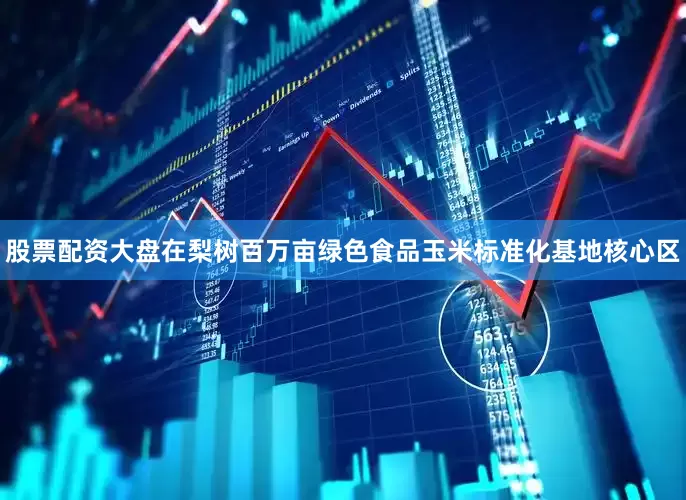 股票配资大盘在梨树百万亩绿色食品玉米标准化基地核心区