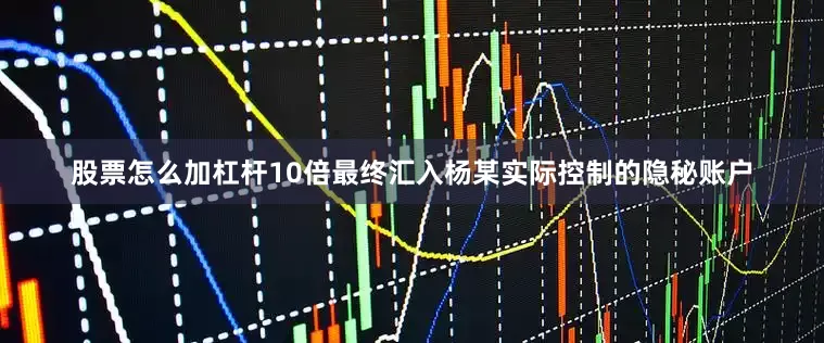 股票怎么加杠杆10倍最终汇入杨某实际控制的隐秘账户