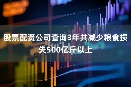 股票配资公司查询3年共减少粮食损失500亿斤以上