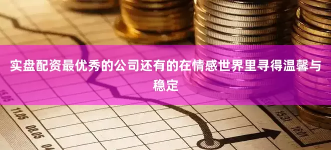 实盘配资最优秀的公司还有的在情感世界里寻得温馨与稳定